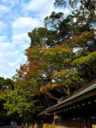 f0315034_12483938.jpg
