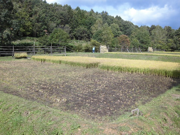 c0233141_1575652.jpg