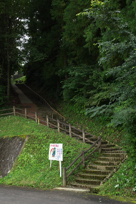 c0180845_2351620.jpg