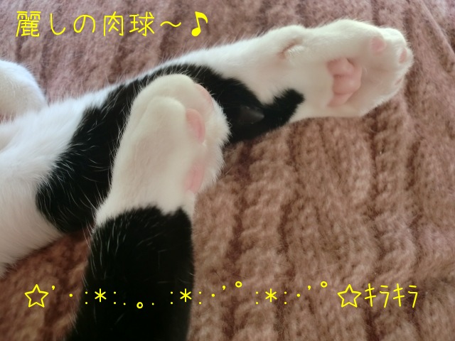 c0259945_10365344.jpg