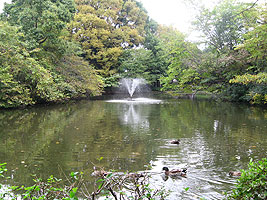 b0246953_14151941.jpg