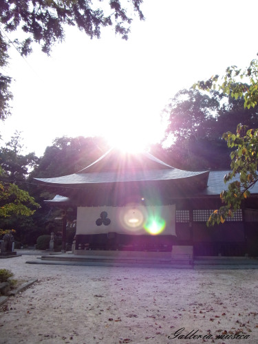 f0351853_06155882.jpg