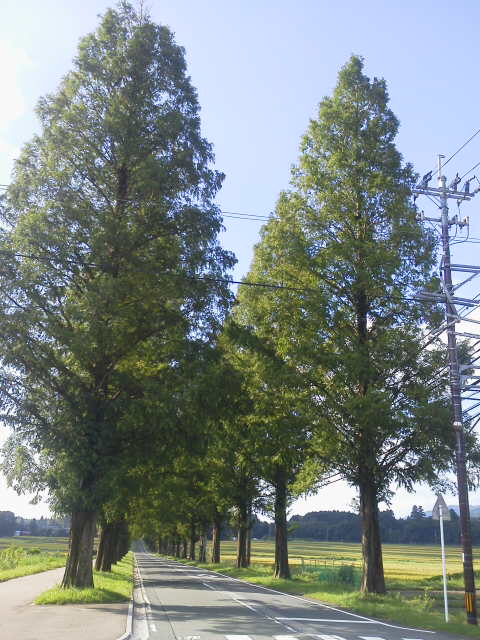 c0214359_20441959.jpg