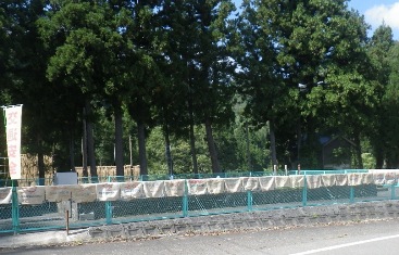 b0079965_4444025.jpg