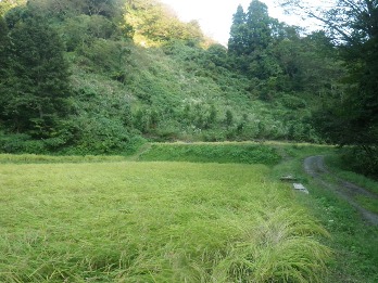 b0079965_445876.jpg