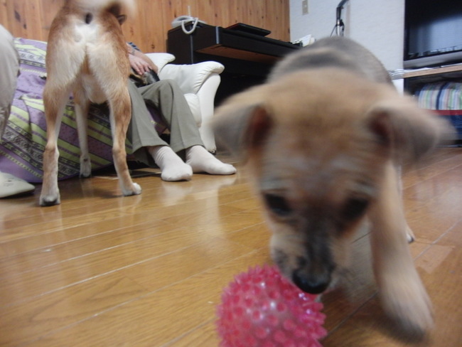 b0246876_22434993.jpg