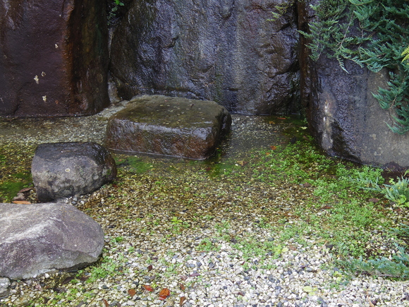 a0152078_1840648.jpg
