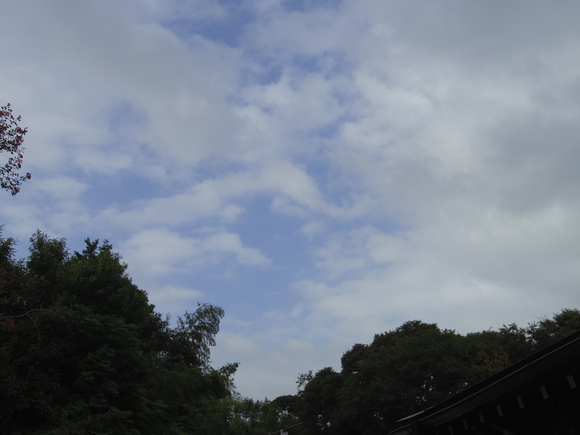 a0152078_18431345.jpg