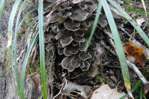 c0237780_12273388.jpg