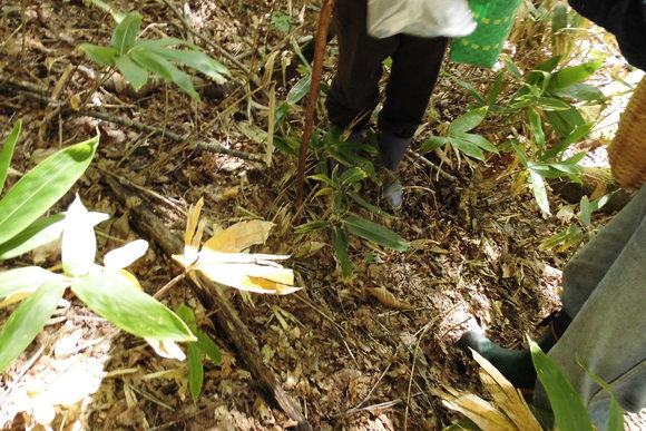 c0237780_12284964.jpg