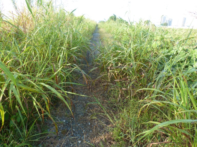f0357487_0579.jpg