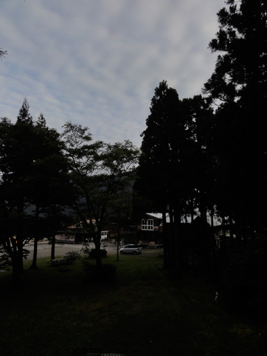 a0061599_784749.jpg