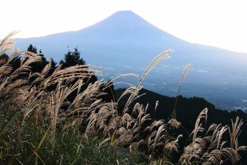 a0188405_07074269.jpg