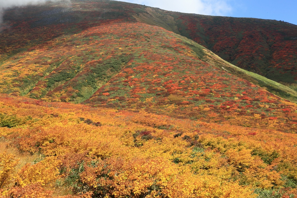 b0050305_224840.jpg