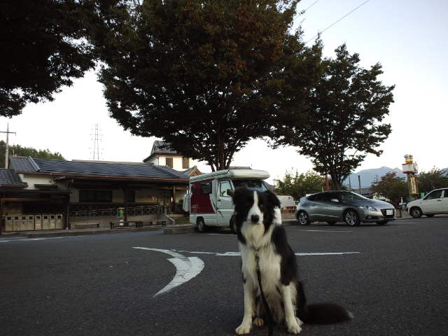 d0224111_12364712.jpg