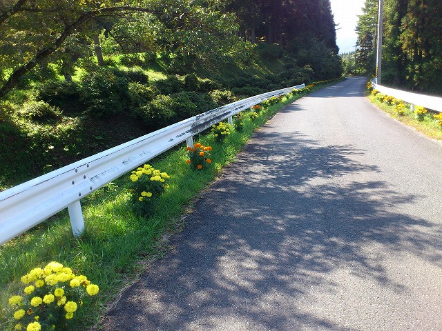 f0100911_2271843.jpg