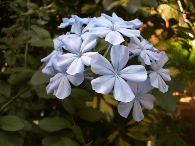 e0099212_2149050.jpg