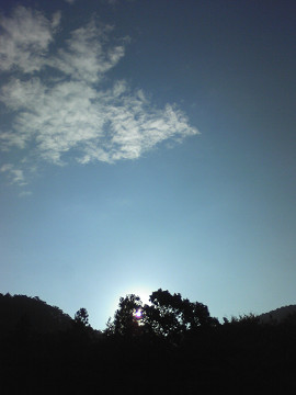 b0309813_716556.jpg