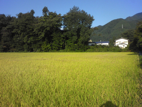 b0309813_718545.jpg