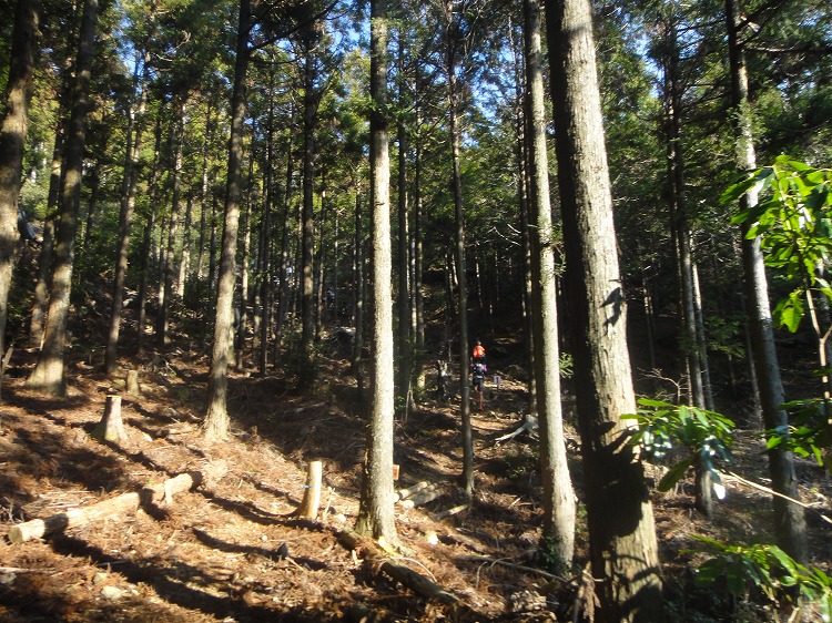 c0337813_20111717.jpg