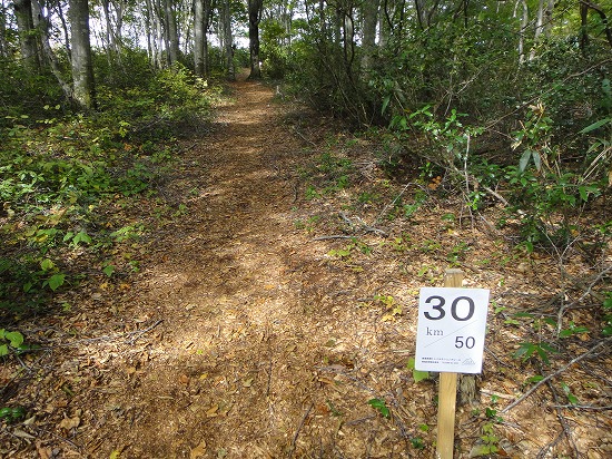 c0337813_2313248.jpg