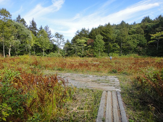 c0337813_23132490.jpg