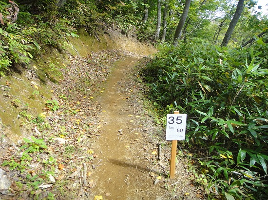 c0337813_23132584.jpg
