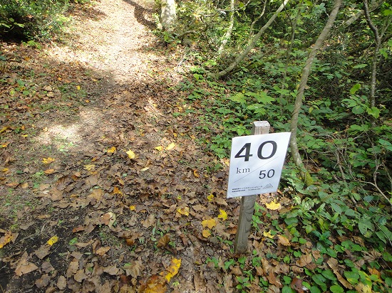 c0337813_23132591.jpg
