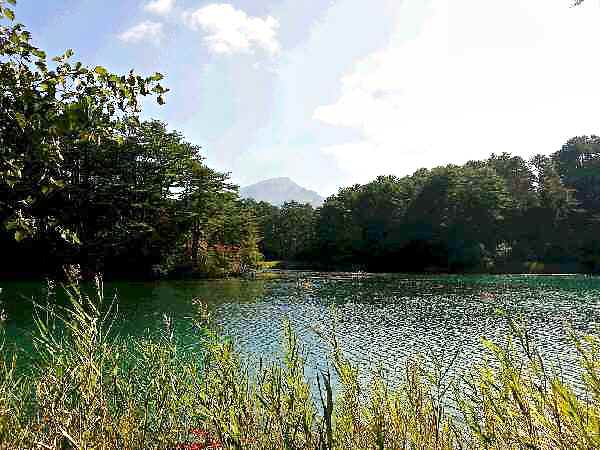 e0047322_2272775.jpg