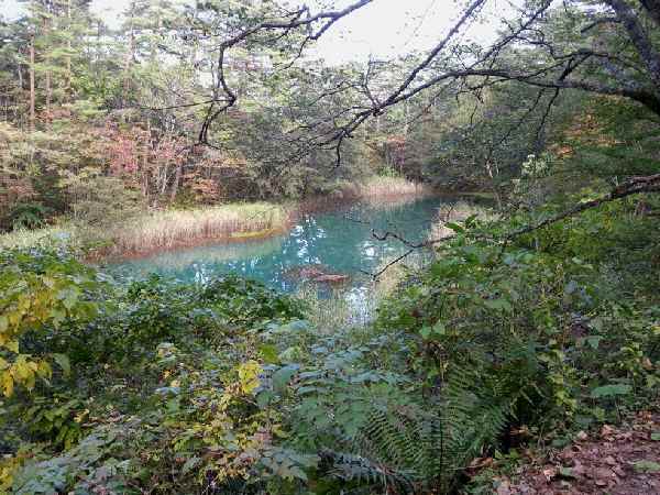 e0047322_2273790.jpg