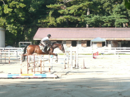 c0009528_19385280.jpg