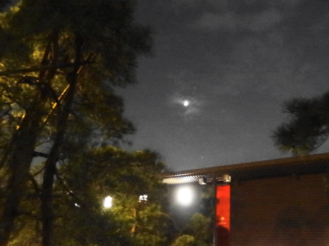 e0016828_12234491.jpg