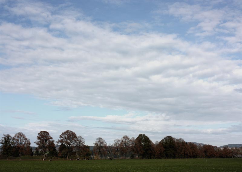 a0118329_1932834.jpg