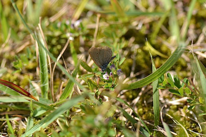 d0303129_1292490.jpg