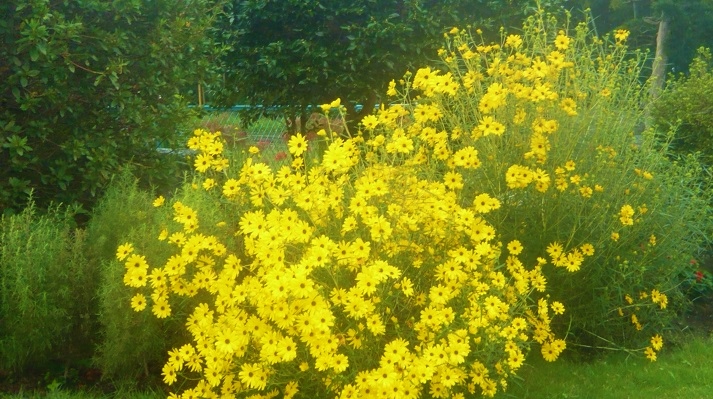a0206332_7413219.jpg