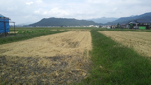 d0252835_131173.jpg