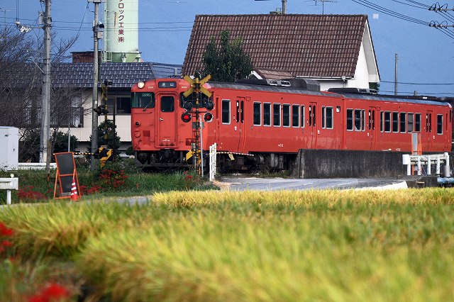 a0242438_19343834.jpg