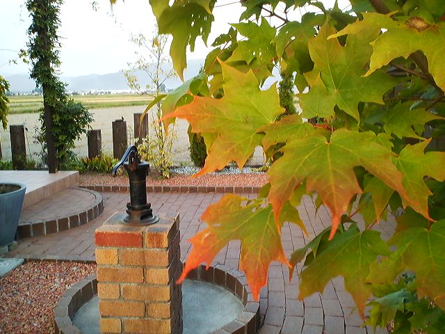 a0272241_17192498.jpg