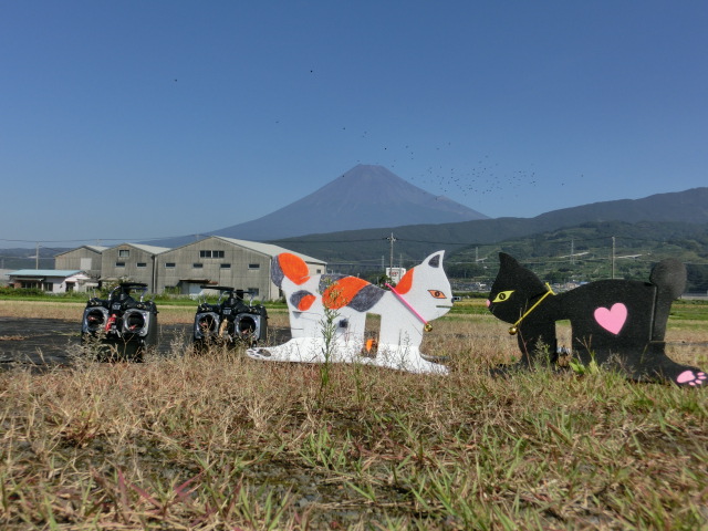d0067943_22144971.jpg