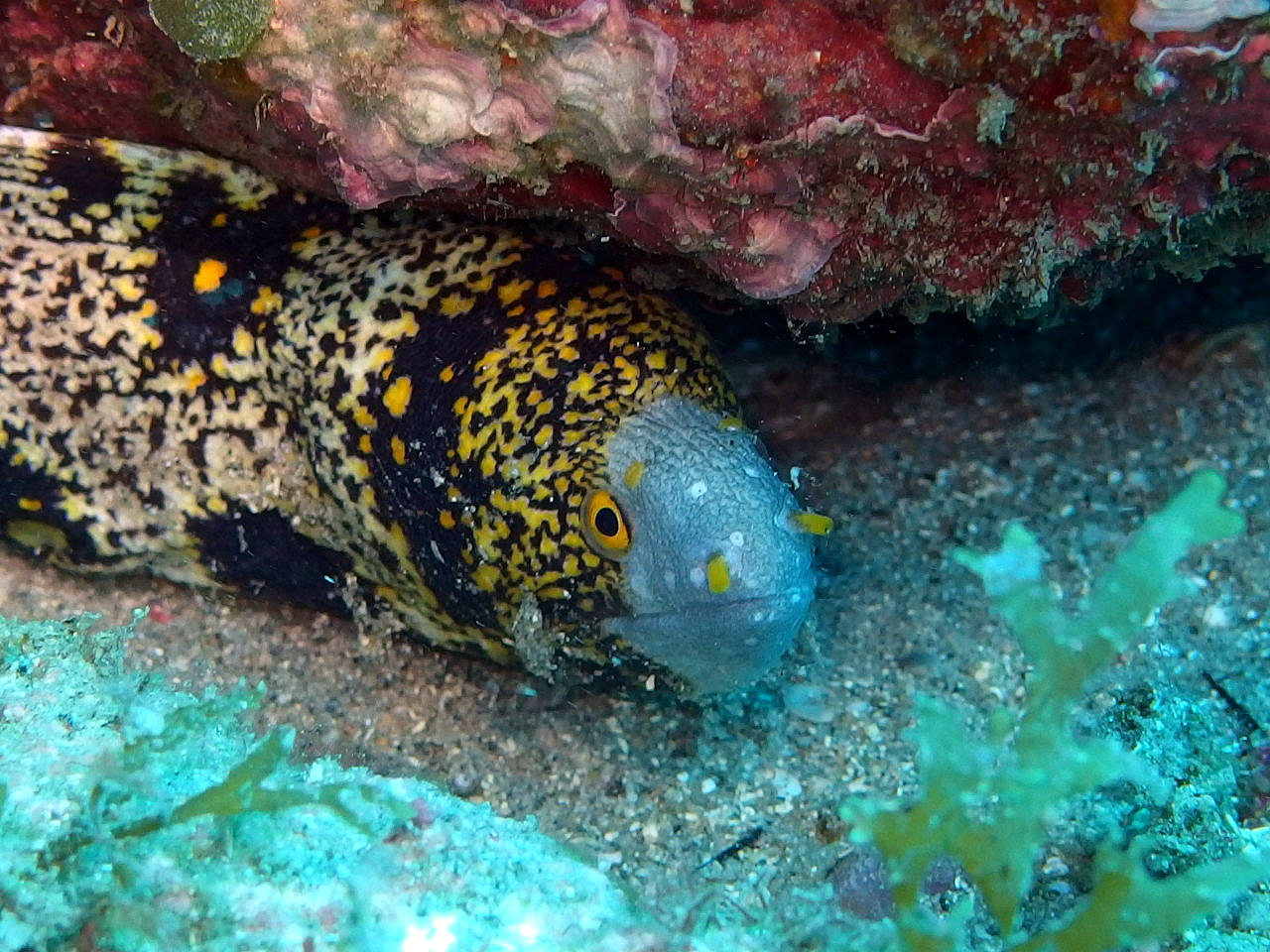 b0236647_1319239.jpg