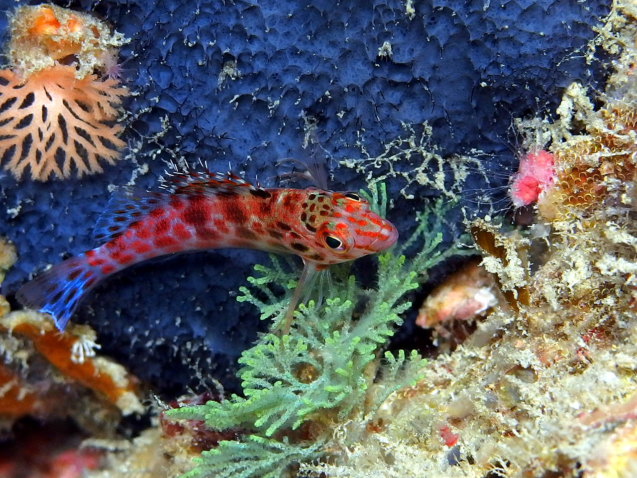 b0236647_13194589.jpg