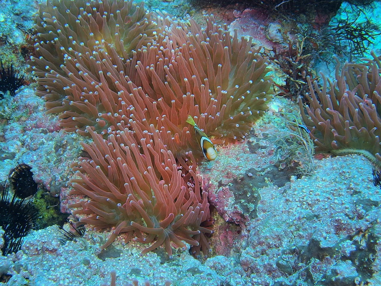 b0236647_13244171.jpg
