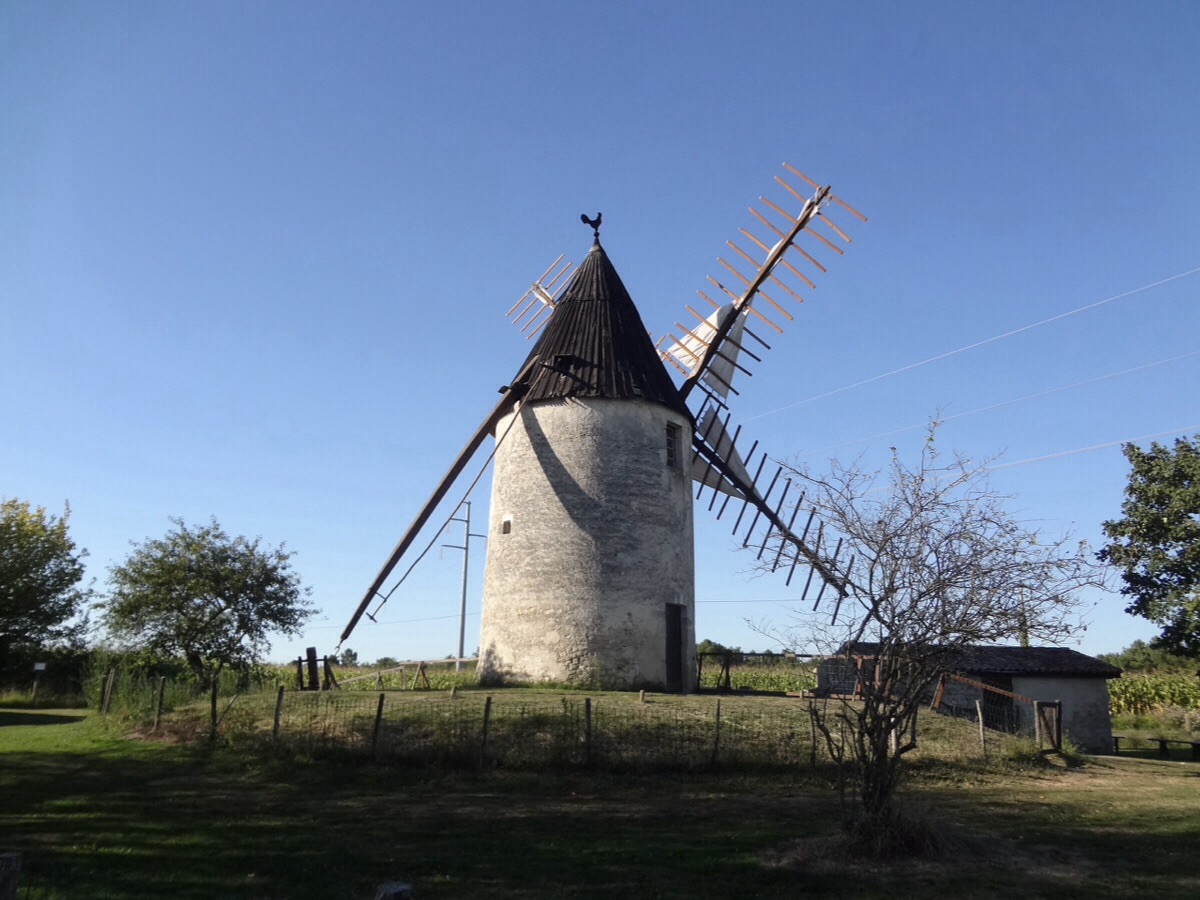b0069848_785348.jpg