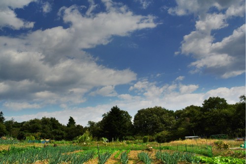 c0063348_19531463.jpg