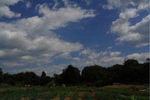 c0063348_19531628.jpg