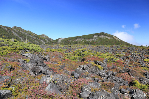 c0127748_16143828.jpg