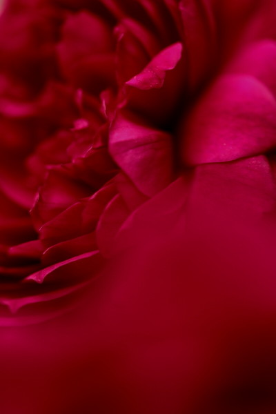 a0258549_1029132.jpg