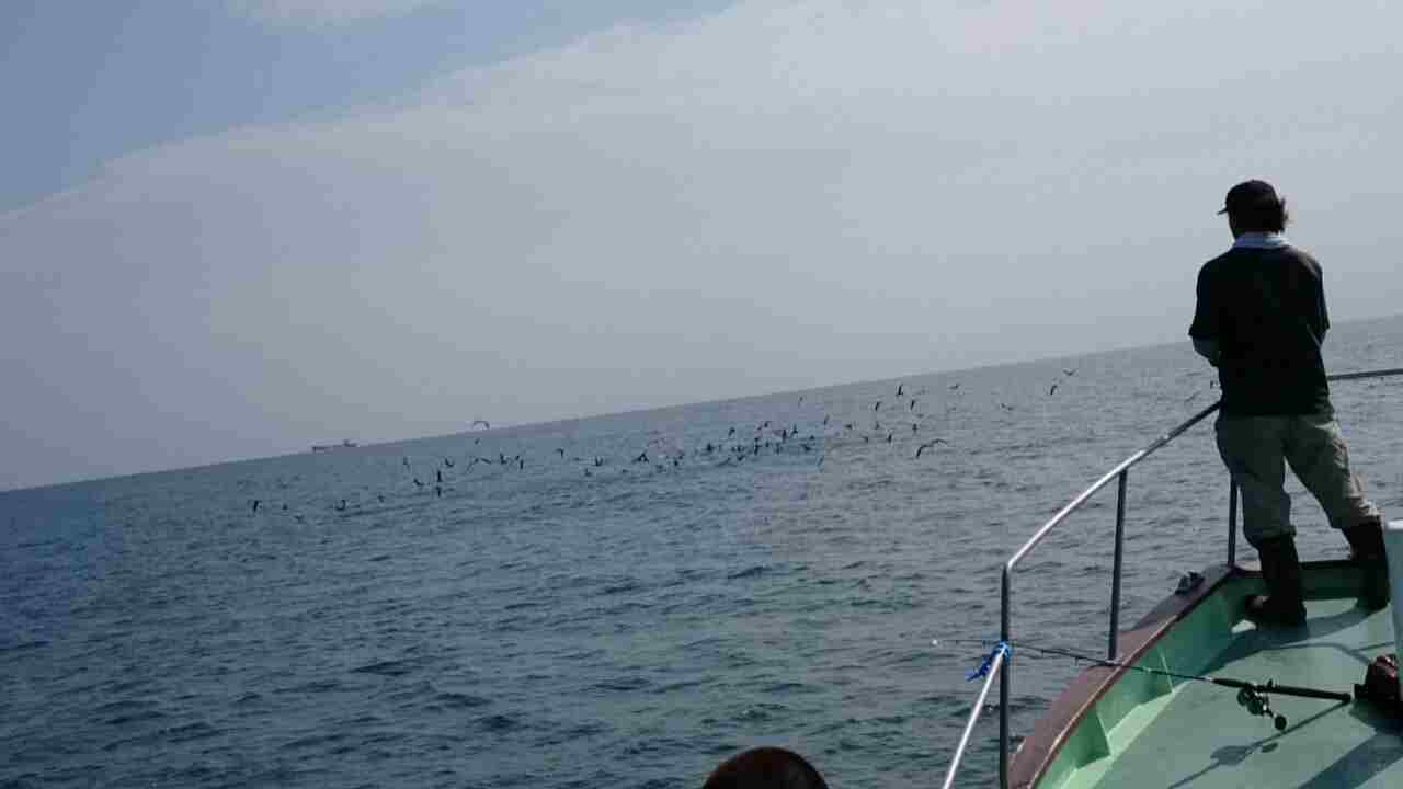 a0248152_18355767.jpg