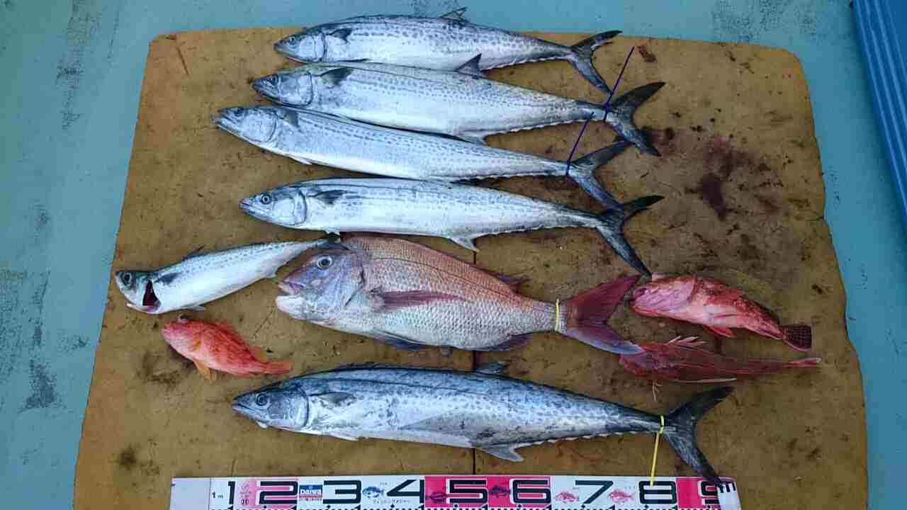 a0248152_18402333.jpg