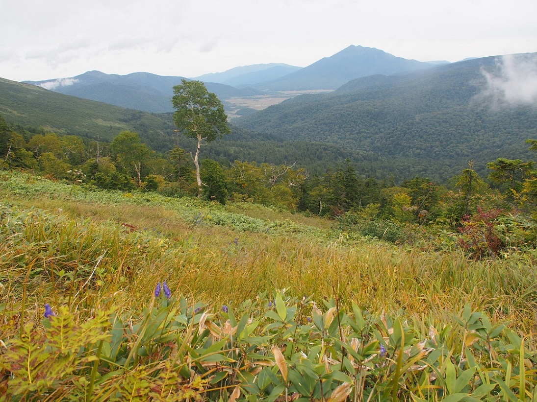 b0335256_22410126.jpg